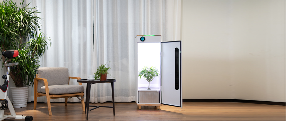 Abby Grow Box Featured Image