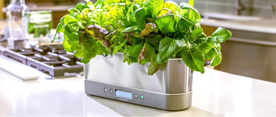 Aero Garden Pods Featured Image