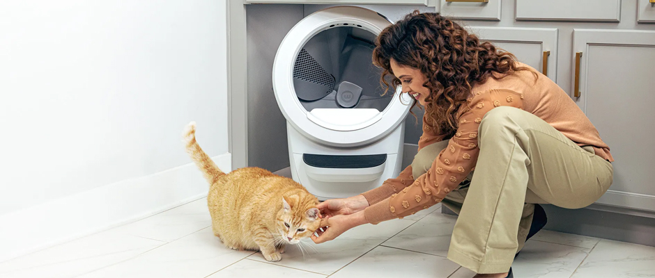 Litter Robot Featured Image