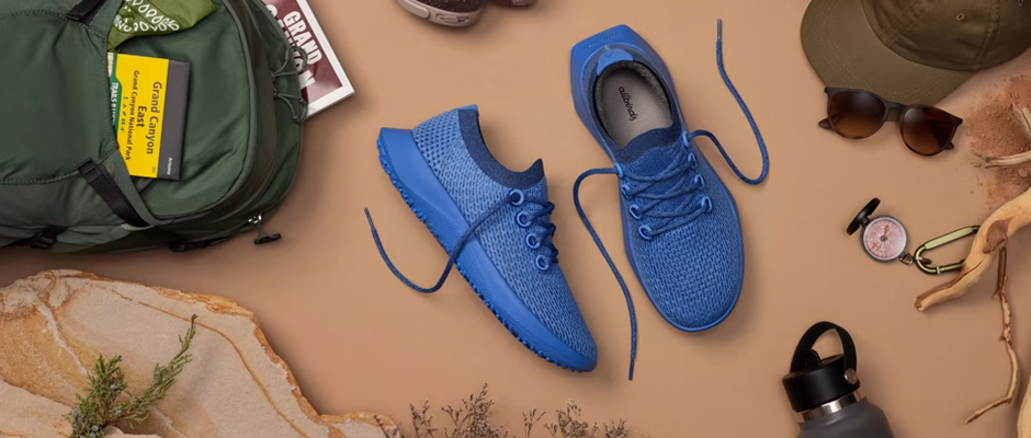 All Birds Featured Image