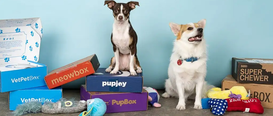 Pup Box Featured Image